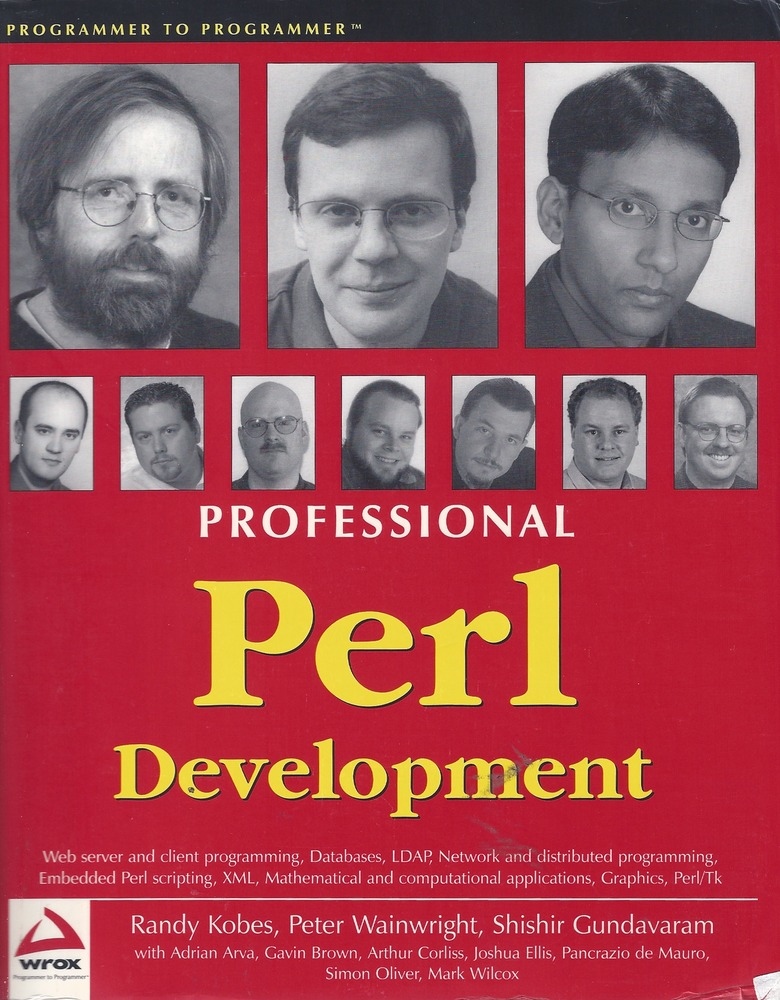 Professional Perl Development
